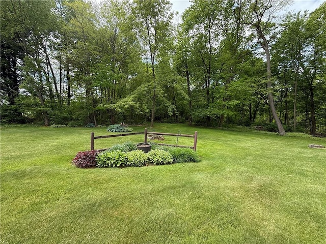 1265 Slippery Rock Rd, Liberty Twp, PA 16057 - view of green lawn