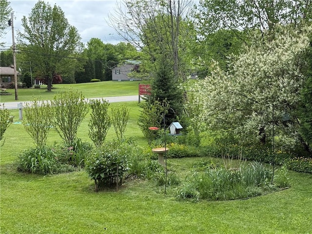 1265 Slippery Rock Rd, Liberty Twp, PA 16057 - view of green lawn