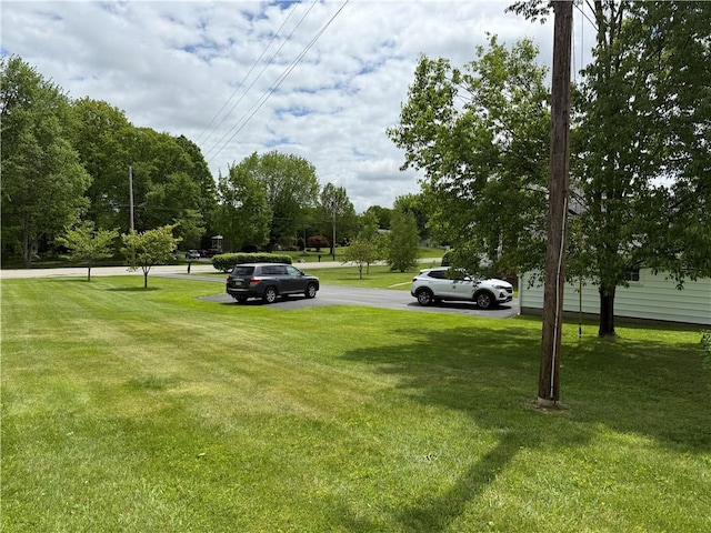 1265 Slippery Rock Rd, Liberty Twp, PA 16057 - view of green lawn