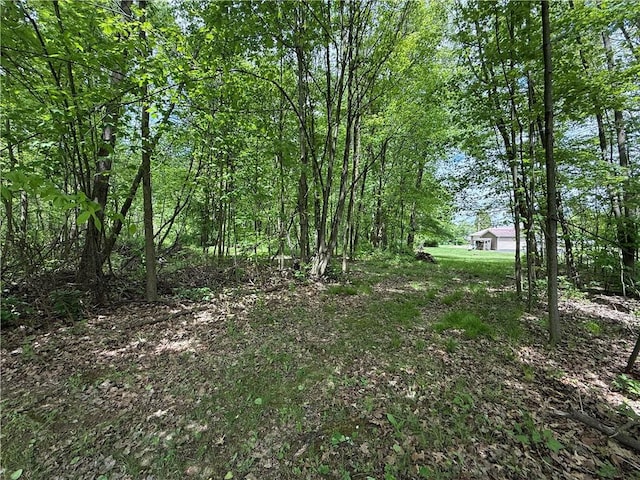 1265 Slippery Rock Rd, Liberty Twp, PA 16057 - view of nature