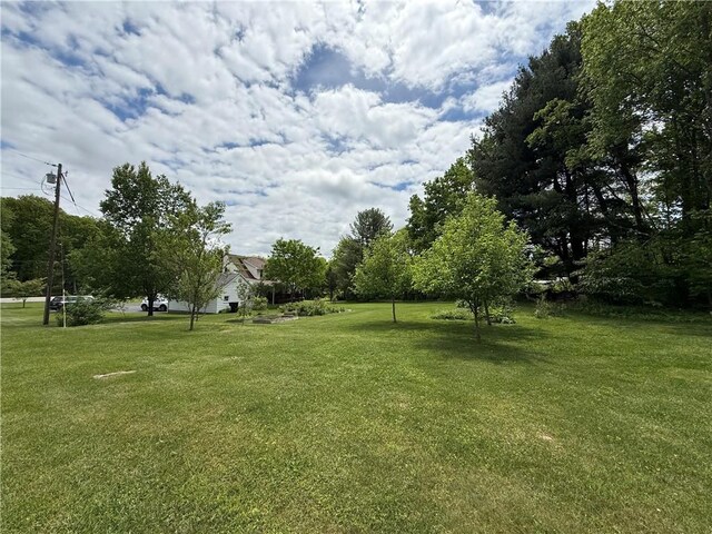 1265 Slippery Rock Rd, Liberty Twp, PA 16057 - view of green lawn