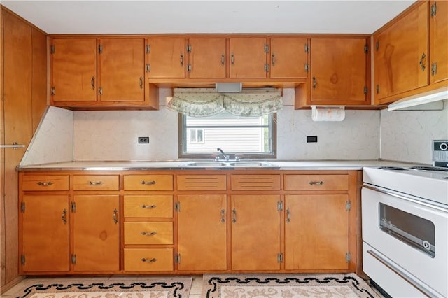 2265 State Route 982, Mount Pleasant Twp Wml, PA 15666 - kitchen featuring white electric range oven, a sink, tasteful backsplash, and light countertops