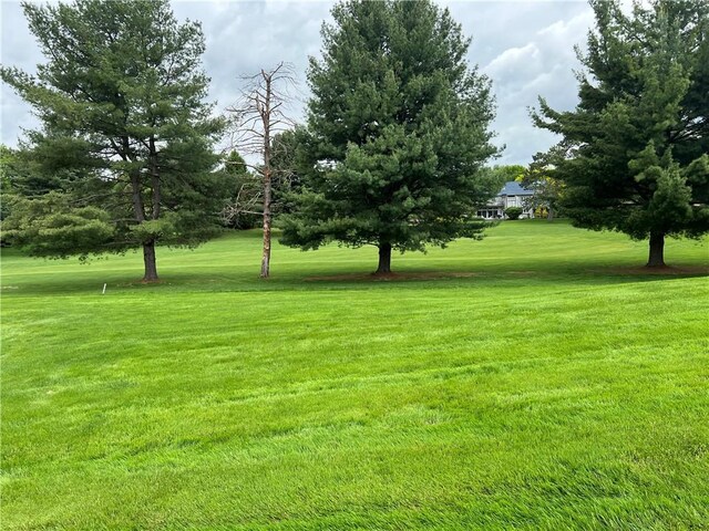 286 Windsor Rdg Unit 26, Neshannock Twp, PA 16105 - view of grassy yard
