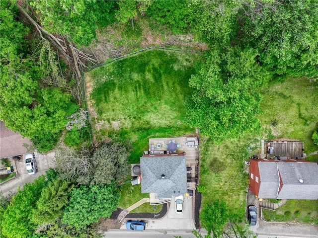 216 Siebert, Ross Twp, PA 15237 - drone / aerial view