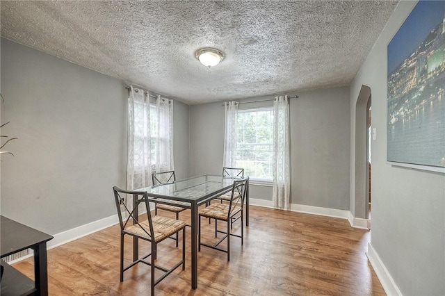 216 Siebert, Ross Twp, PA 15237 - dining room with arched walkways, wood finished floors, baseboards, and a textured ceiling