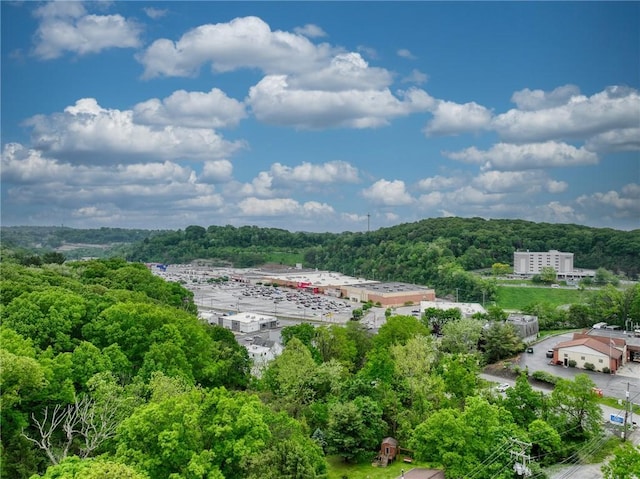 216 Siebert, Ross Twp, PA 15237 - bird's eye view of a heavily wooded area