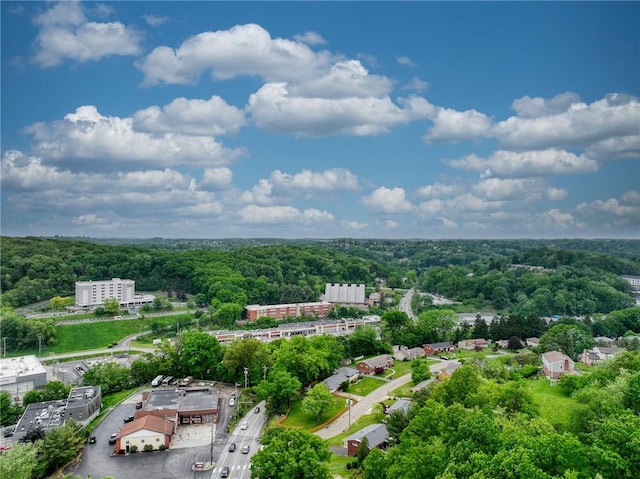 216 Siebert, Ross Twp, PA 15237 - aerial view of a forest