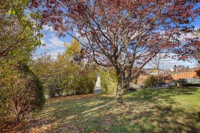 2238 Lucina Ave, Overbrook, PA 15210 - view of yard