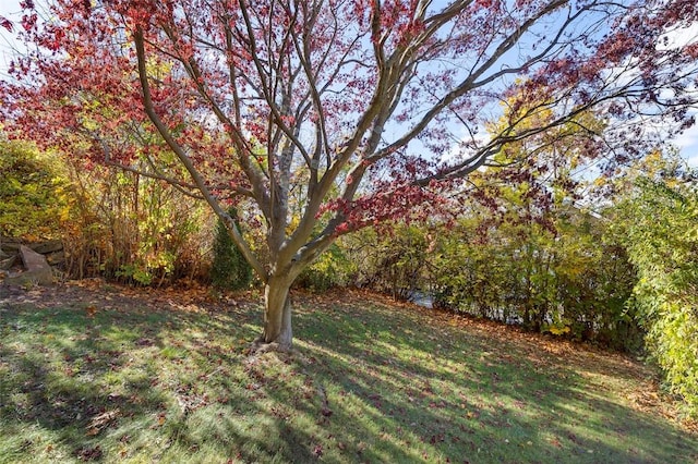 2238 Lucina Ave, Overbrook, PA 15210 - view of grassy yard