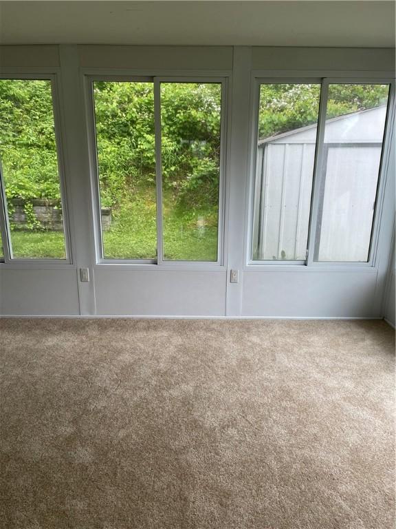 241 Willow Dr, Monroeville, PA 15146 - carpeted empty room featuring healthy amount of natural light