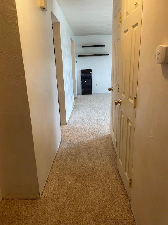 241 Willow Dr, Monroeville, PA 15146 - corridor featuring carpet floors