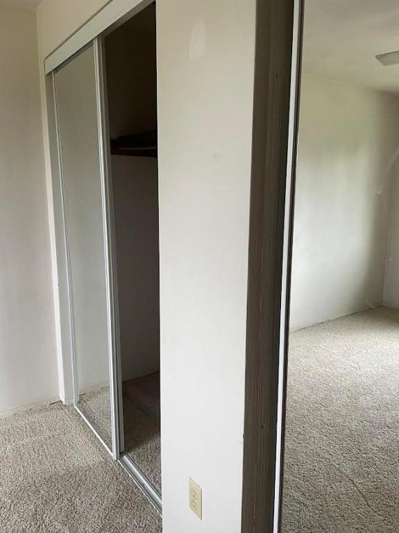 241 Willow Dr, Monroeville, PA 15146 - view of closet