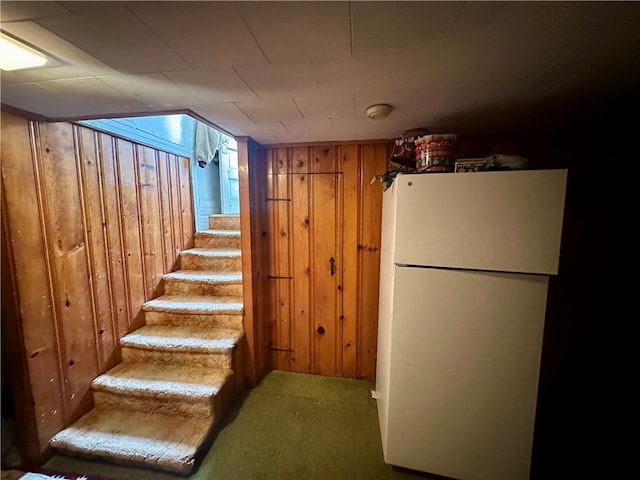 453 N W St, Waynsbrg/Frankln Twp, PA 15370 - stairway with wooden walls and carpet flooring