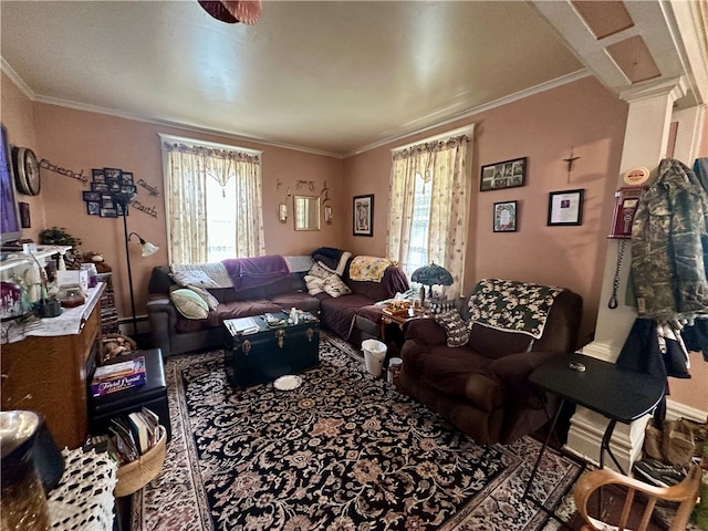 453 N W St, Waynsbrg/Frankln Twp, PA 15370 - living area featuring healthy amount of natural light and ornamental molding