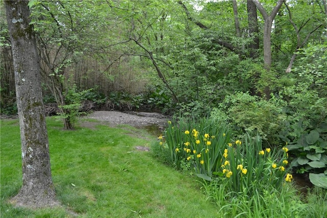 319 Hummingbird Cir, Cranberry Twp, PA 16066 - view of green lawn with a wooded view