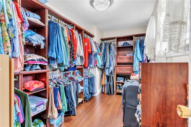319 Hummingbird Cir, Cranberry Twp, PA 16066 - spacious closet with wood finished floors
