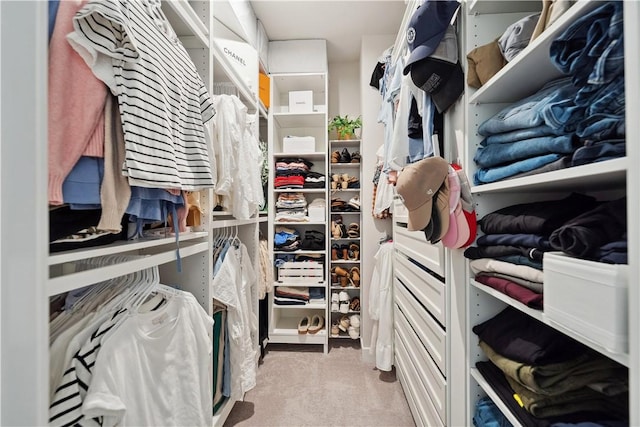 436 Greenwood Dr, North Strabane, PA 15317 - walk in closet with light colored carpet