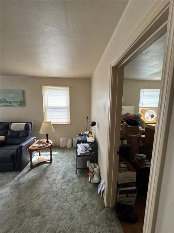 2709 Leland St, Perry Hilltop, PA 15214 - living area featuring carpet
