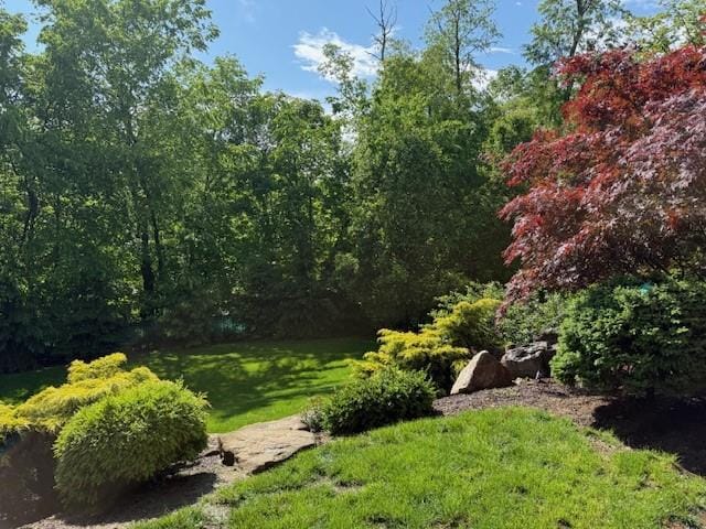 102 Maple Gln, Peters Twp, PA 15367 - view of green lawn with a view of trees