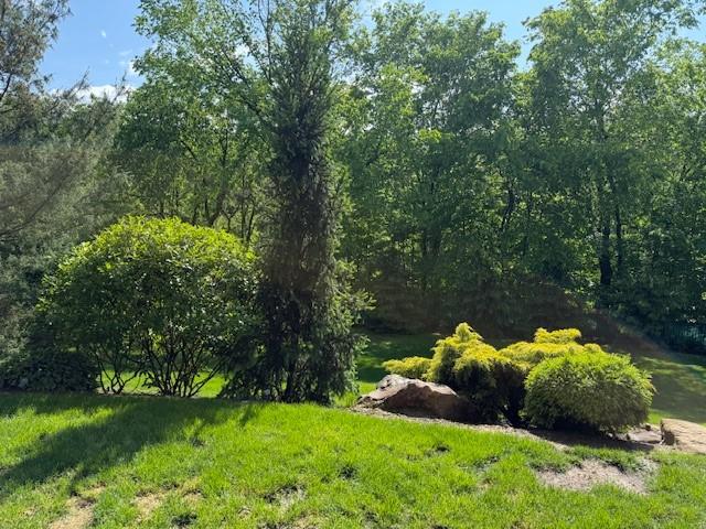 102 Maple Gln, Peters Twp, PA 15367 - view of yard