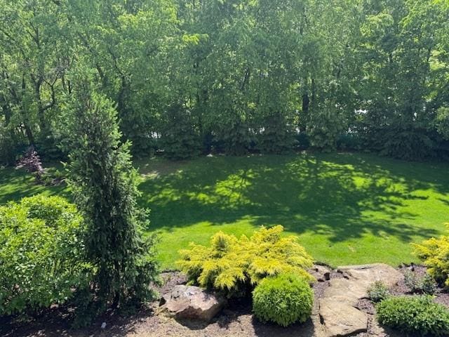 102 Maple Gln, Peters Twp, PA 15367 - view of green lawn
