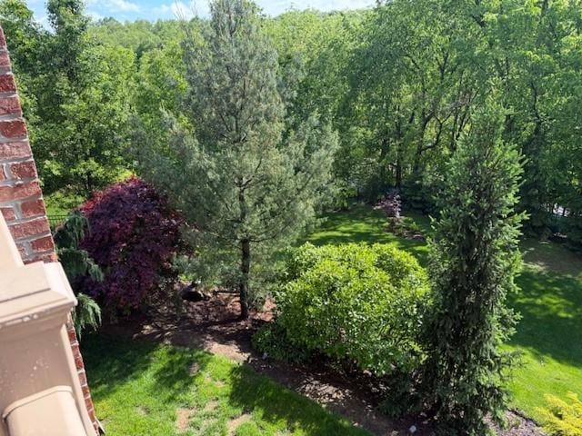 102 Maple Gln, Peters Twp, PA 15367 - view of yard featuring a forest view