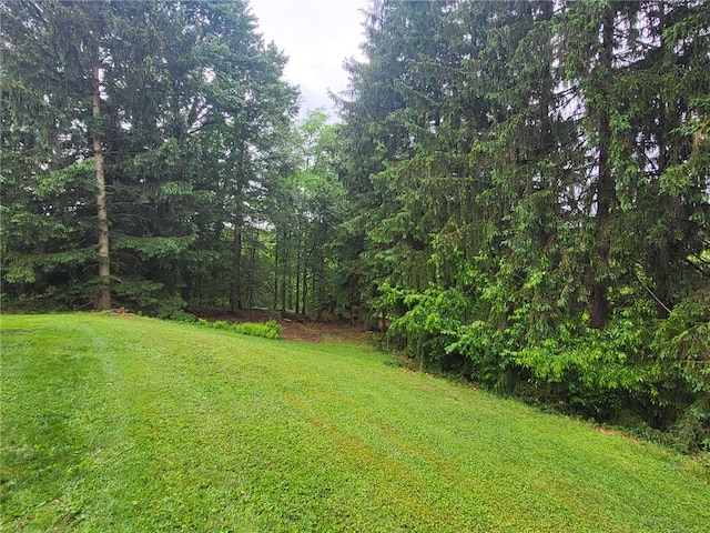 118 Wide View Ter, Unity Twp, PA 15650 - view of green lawn featuring a forest view