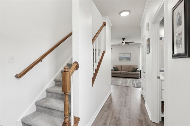 215 Old Hickory Rd, Jackson Twp But, PA 16063 - staircase featuring ceiling fan, wood finished floors, and baseboards