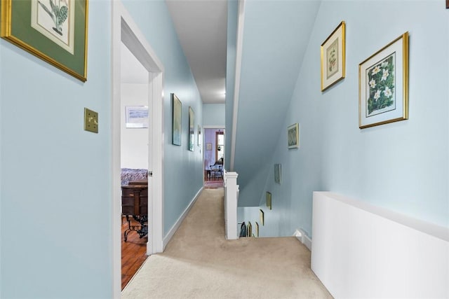 534 Trenton Ave, Regent Square, PA 15221 - corridor with an upstairs landing, carpet floors, and baseboards
