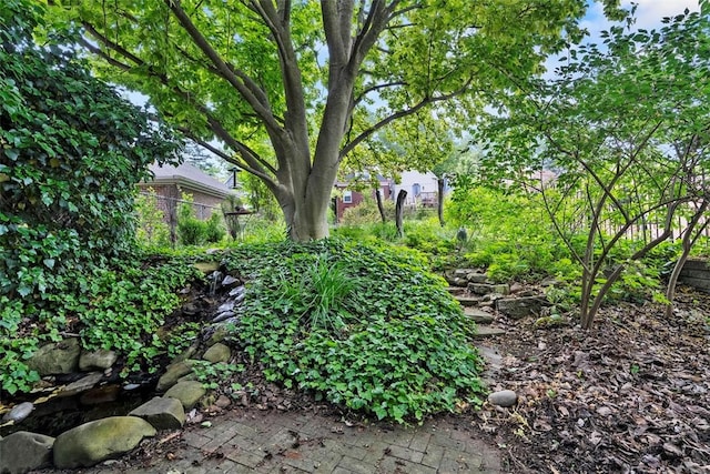 534 Trenton Ave, Regent Square, PA 15221 - view of yard