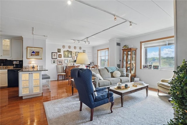 5 Bayard Rd Unit 913, Shadyside, PA 15213 - living area featuring rail lighting, wood finished floors, and baseboards