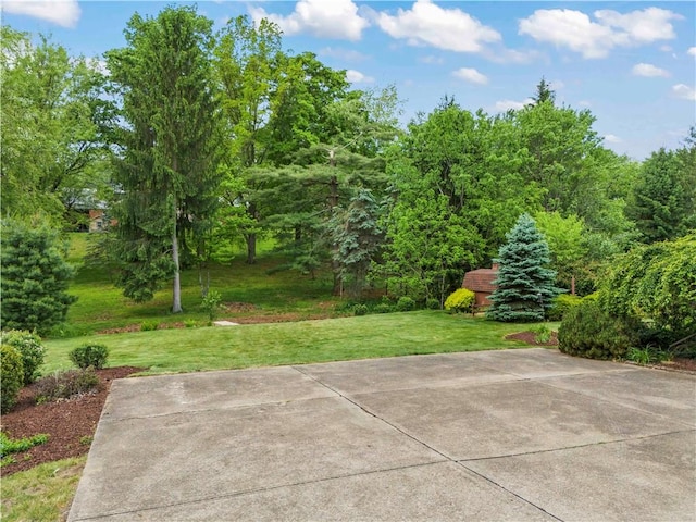 187 Friar Ln, Peters Twp, PA 15317 - view of patio