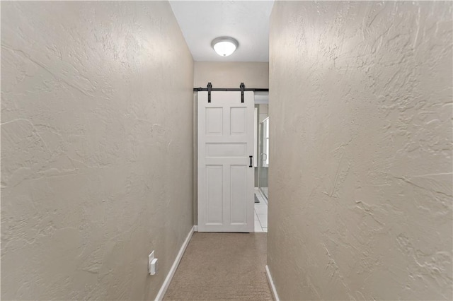 239 Albert St, Mt Washington, PA 15211 - hall with baseboards, carpet flooring, a barn door, and a textured wall
