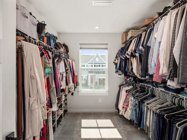 127 Red Horse Dr, Buffalo Twp, PA 16055 - spacious closet with carpet floors