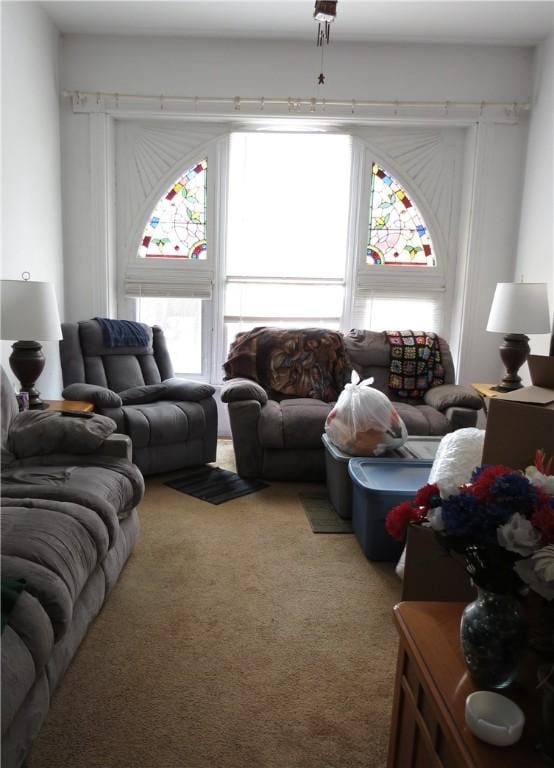 2317 Sidney St, South Side, PA 15203 - living room featuring carpet