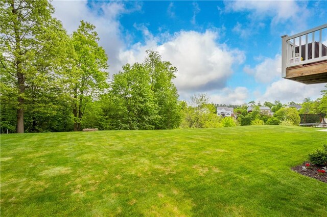 97 Clover Ln, Pine Twp Nal, PA 15044 - view of green lawn featuring a trampoline
