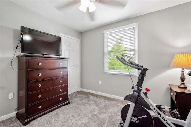 97 Clover Ln, Pine Twp Nal, PA 15044 - exercise area with ceiling fan, carpet, and baseboards