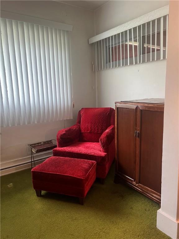 1929 Alcoa Dr, Arnold, PA 15068 - sitting room with carpet floors