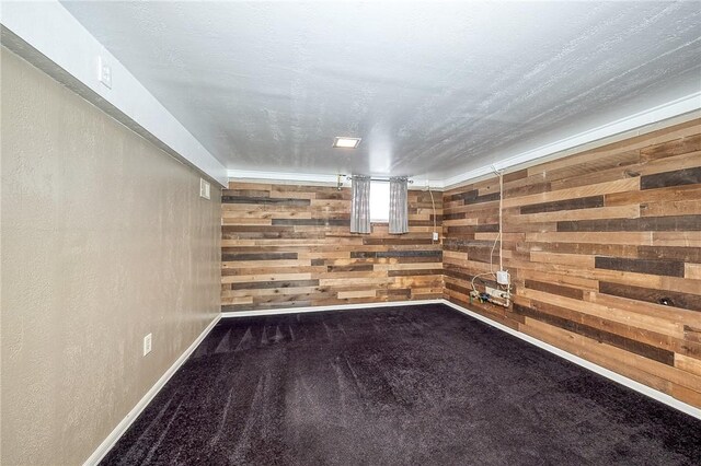 62 Spring St, Etna, PA 15223 - below grade area featuring wooden walls, carpet flooring, and baseboards