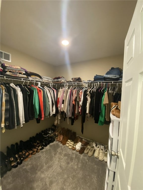 173 Rylie Dr, Lehigh Twp, PA 16037 - spacious closet with carpet flooring