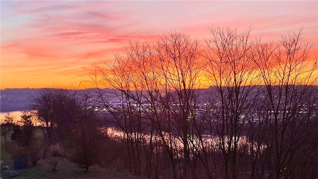 1690 Shelburne Ln, Squirrel Hill, PA 15217 - view of nature at dusk