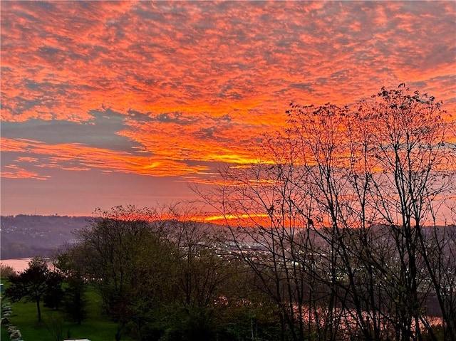 1690 Shelburne Ln, Squirrel Hill, PA 15217 - water view