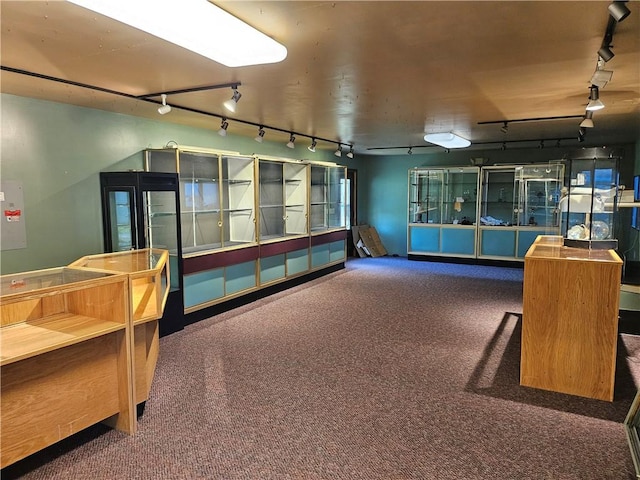 114 Leonard Rd, Washington Twp But, PA 16040 - interior space with track lighting and carpet floors