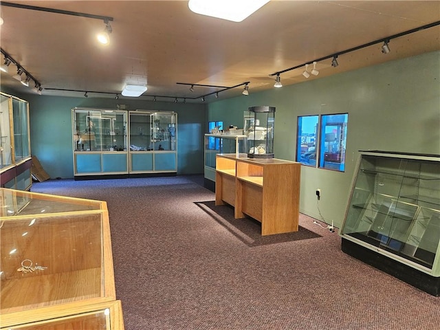 114 Leonard Rd, Washington Twp But, PA 16040 - miscellaneous room with rail lighting and carpet floors