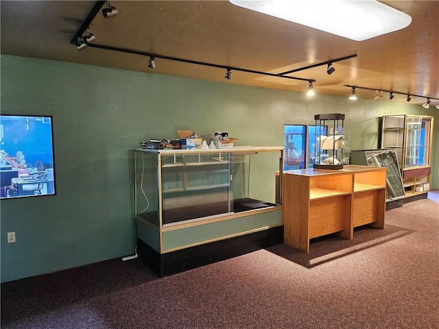 114 Leonard Rd, Washington Twp But, PA 16040 - bar area featuring rail lighting and carpet flooring