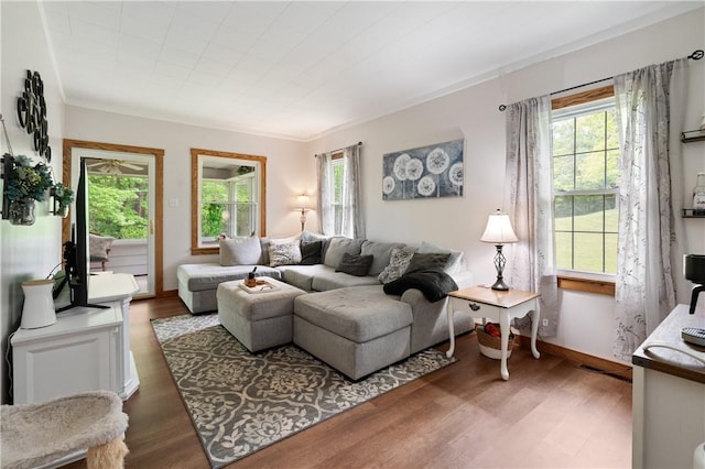 2418 Graceland Rd, Neshannock Twp, PA 16105 - living room featuring plenty of natural light and wood finished floors