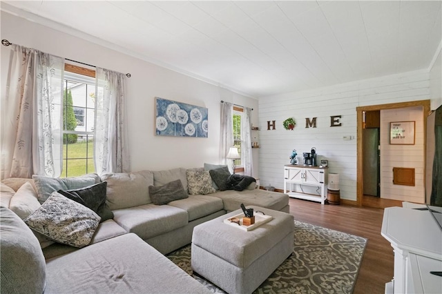 2418 Graceland Rd, Neshannock Twp, PA 16105 - living area featuring healthy amount of natural light, dark wood-type flooring, and wooden walls