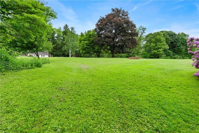 2418 Graceland Rd, Neshannock Twp, PA 16105 - view of grassy yard featuring view of wooded area