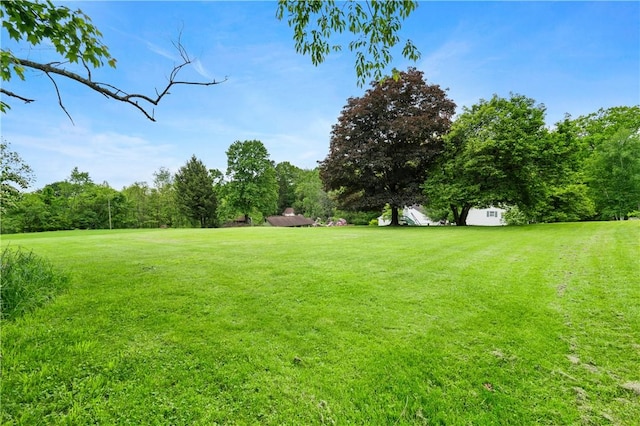 2418 Graceland Rd, Neshannock Twp, PA 16105 - view of green lawn