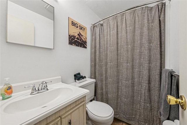20 Craighead Dr, Hidden Valley, PA 15502 - full bathroom featuring toilet, vanity, and a shower with shower curtain